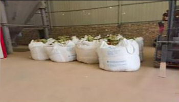 �X�\�����ϏS��܇�g