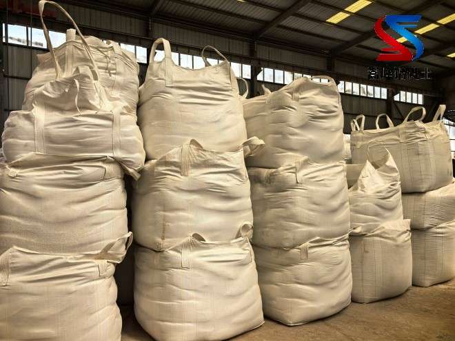 ���X����_����_�X�\�����ϏS�҈D